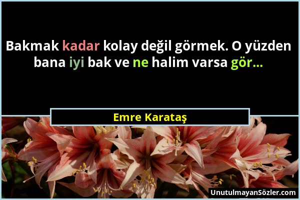 Emre Karataş - Bakmak kadar kolay değil görmek. O yüzden bana iyi bak ve ne halim varsa gör......