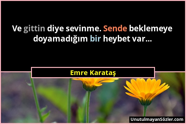 Emre Karataş - Ve gittin diye sevinme. Sende beklemeye doyamadığım bir heybet var......