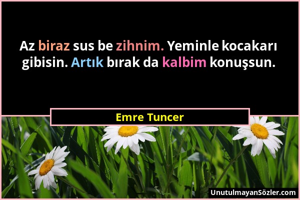 Emre Tuncer - Az biraz sus be zihnim. Yeminle kocakarı gibisin. Artık bırak da kalbim konuşsun....