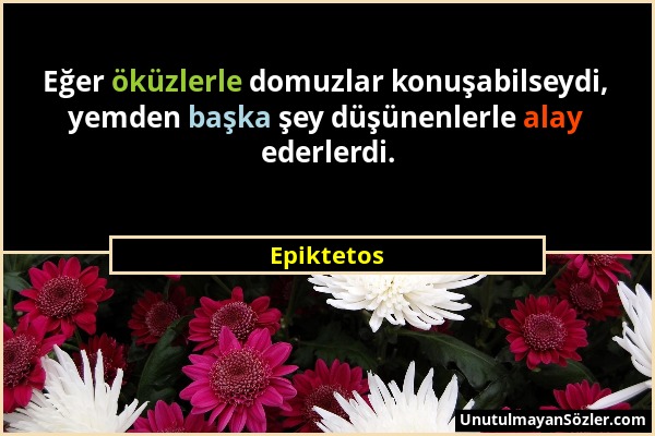 Epiktetos - Eğer öküzlerle domuzlar konuşabilseydi, yemden başka şey düşünenlerle alay ederlerdi....