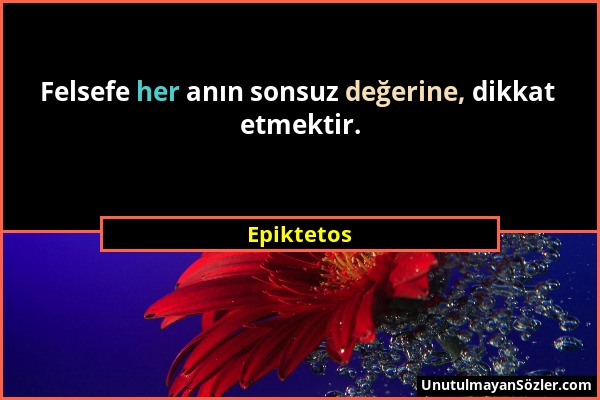 Epiktetos - Felsefe her anın sonsuz değerine, dikkat etmektir....