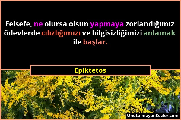 Epiktetos - Felsefe, ne olursa olsun yapmaya zorlandığımız ödevlerde cılızlığımızı ve bilgisizliğimizi anlamak ile başlar....