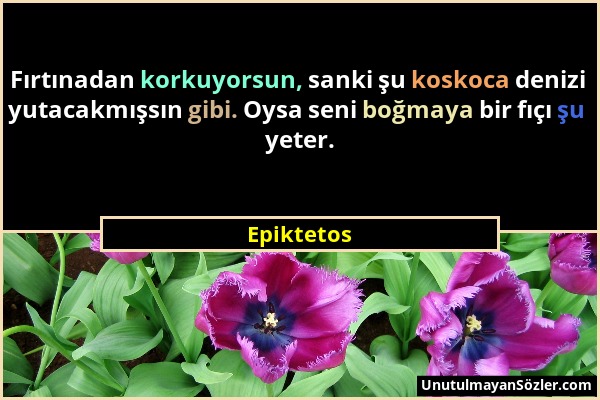 Epiktetos - Fırtınadan korkuyorsun, sanki şu koskoca denizi yutacakmışsın gibi. Oysa seni boğmaya bir fıçı şu yeter....