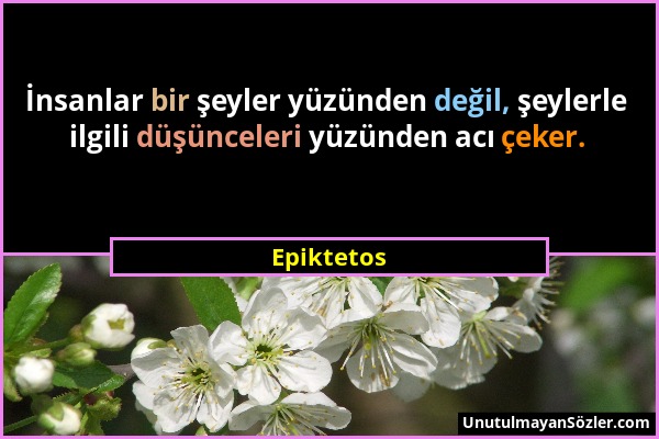 Epiktetos - İnsanlar bir şeyler yüzünden değil, şeylerle ilgili düşünceleri yüzünden acı çeker....