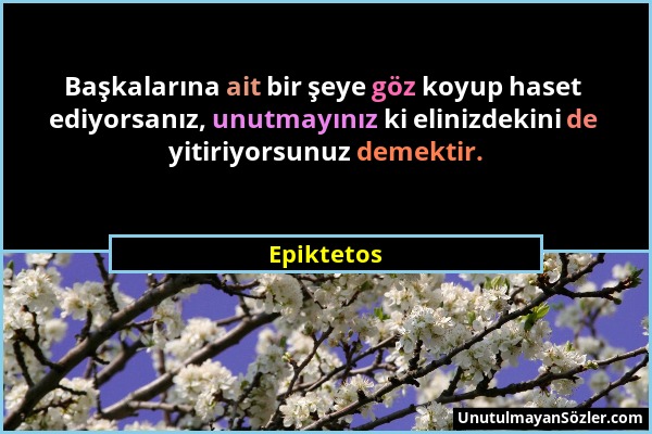 Epiktetos - Başkalarına ait bir şeye göz koyup haset ediyorsanız, unutmayınız ki elinizdekini de yitiriyorsunuz demektir....