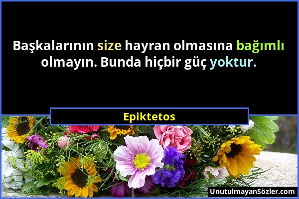 Epiktetos - Başkalarının size hayran olmasına bağımlı olmayın. Bunda hiçbir güç yoktur....