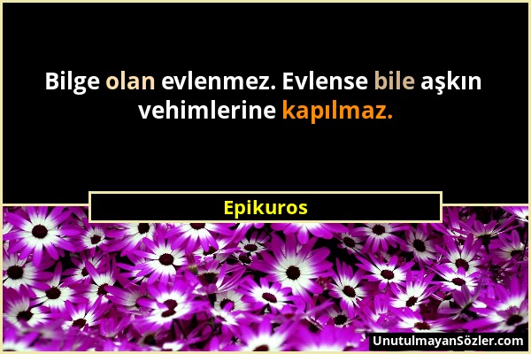 Epikuros - Bilge olan evlenmez. Evlense bile aşkın vehimlerine kapılmaz....