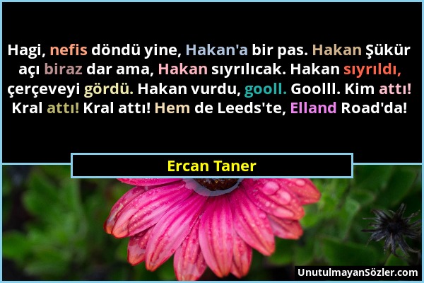 Ercan Taner - Hagi, nefis döndü yine, Hakan'a bir pas. Hakan Şükür açı biraz dar ama, Hakan sıyrılıcak. Hakan sıyrıldı, çerçeveyi gördü. Hakan vurdu,...