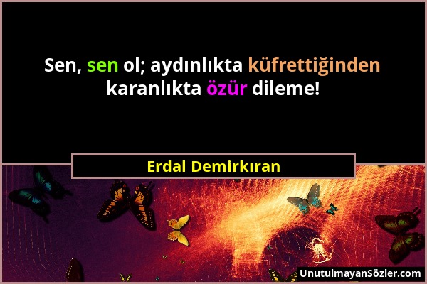 Erdal Demirkıran - Sen, sen ol; aydınlıkta küfrettiğinden karanlıkta özür dileme!...