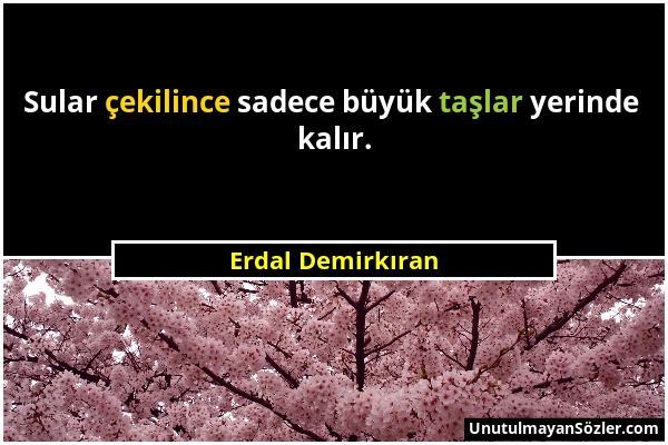 Erdal Demirkıran - Sular çekilince sadece büyük taşlar yerinde kalır....