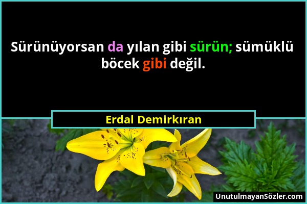 Erdal Demirkıran - Sürünüyorsan da yılan gibi sürün; sümüklü böcek gibi değil....