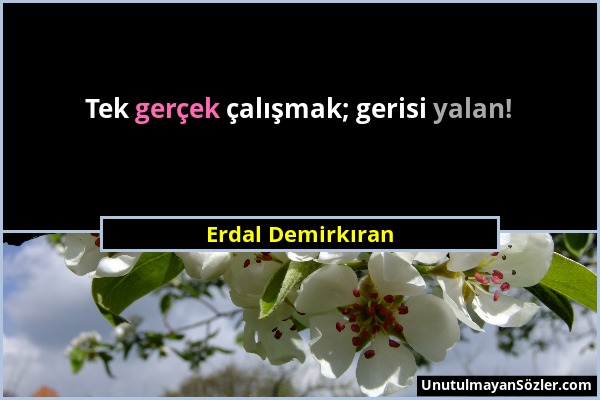 Erdal Demirkıran - Tek gerçek çalışmak; gerisi yalan!...