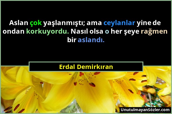 Erdal Demirkıran - Aslan çok yaşlanmıştı; ama ceylanlar yine de ondan korkuyordu. Nasıl olsa o her şeye rağmen bir aslandı....