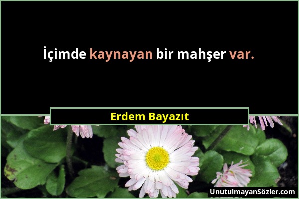 Erdem Bayazıt - İçimde kaynayan bir mahşer var....