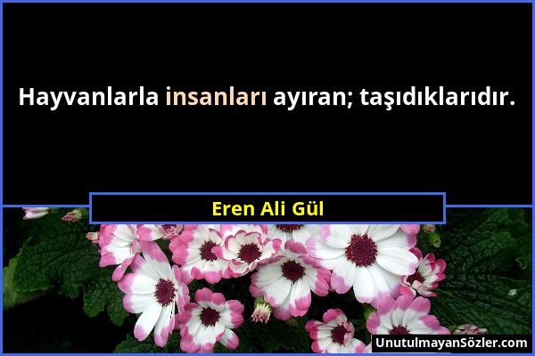 Eren Ali Gül - Hayvanlarla insanları ayıran; taşıdıklarıdır....