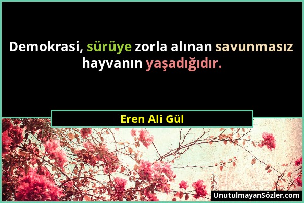 Eren Ali Gül - Demokrasi, sürüye zorla alınan savunmasız hayvanın yaşadığıdır....