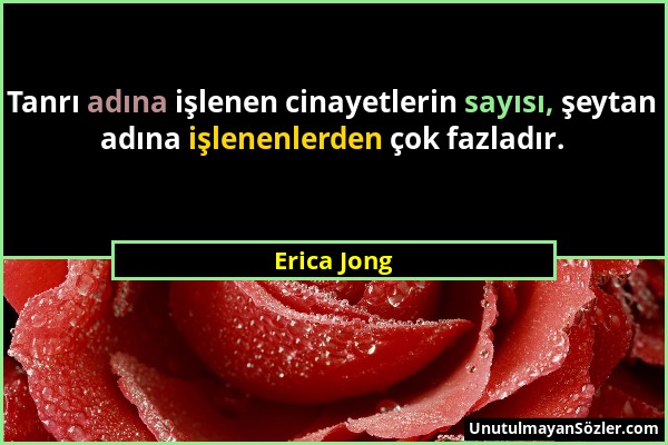 Erica Jong - Tanrı adına işlenen cinayetlerin sayısı, şeytan adına işlenenlerden çok fazladır....