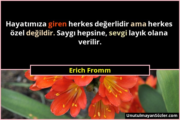 Erich Fromm - Hayatımıza giren herkes değerlidir ama herkes özel değildir. Saygı hepsine, sevgi layık olana verilir....