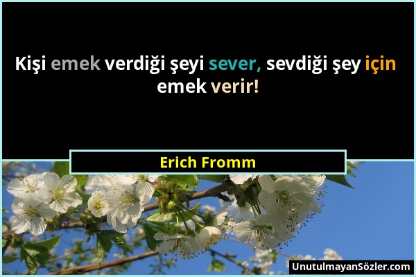 Erich Fromm - Kişi emek verdiği şeyi sever, sevdiği şey için emek verir!...