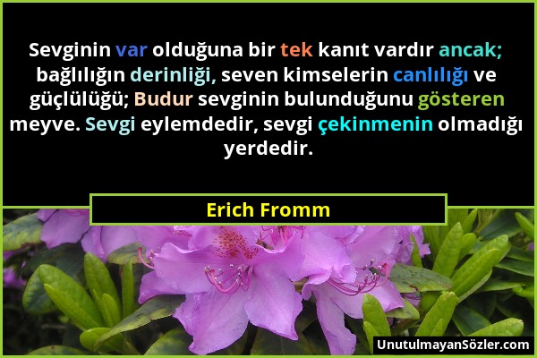 Erich Fromm - Sevginin var olduğuna bir tek kanıt vardır ancak; bağlılığın derinliği, seven kimselerin canlılığı ve güçlülüğü; Budur sevginin bulunduğ...