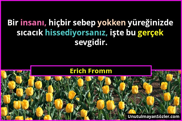 Erich Fromm - Bir insanı, hiçbir sebep yokken yüreğinizde sıcacık hissediyorsanız, işte bu gerçek sevgidir....