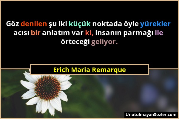 Erich Maria Remarque - Göz denilen şu iki küçük noktada öyle yürekler acısı bir anlatım var ki, insanın parmağı ile örteceği geliyor....