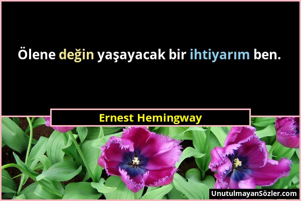 Ernest Hemingway - Ölene değin yaşayacak bir ihtiyarım ben....
