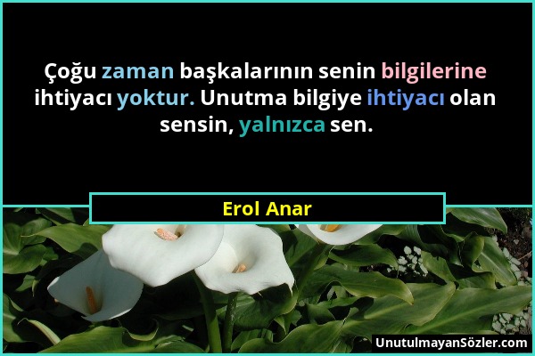 Erol Anar - Çoğu zaman başkalarının senin bilgilerine ihtiyacı yoktur. Unutma bilgiye ihtiyacı olan sensin, yalnızca sen....