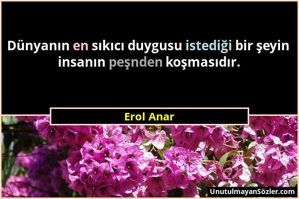 Erol Anar - Dünyanın en sıkıcı duygusu istediği bir şeyin insanın peşnden koşmasıdır....