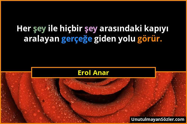 Erol Anar - Her şey ile hiçbir şey arasındaki kapıyı aralayan gerçeğe giden yolu görür....