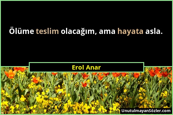 Erol Anar - Ölüme teslim olacağım, ama hayata asla....