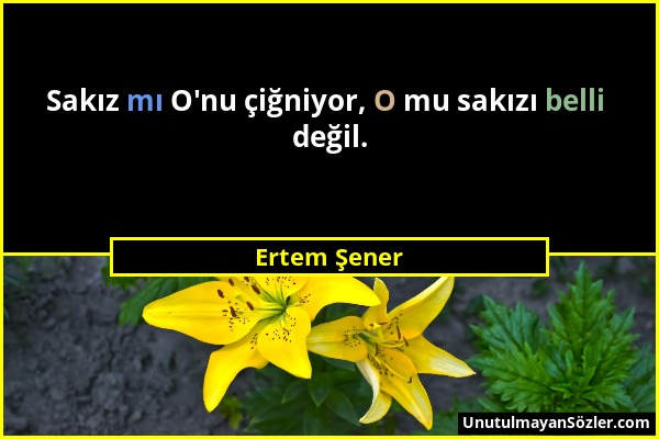 Ertem Şener - Sakız mı O'nu çiğniyor, O mu sakızı belli değil....