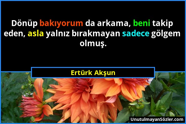 Ertürk Akşun - Dönüp bakıyorum da arkama, beni takip eden, asla yalnız bırakmayan sadece gölgem olmuş....