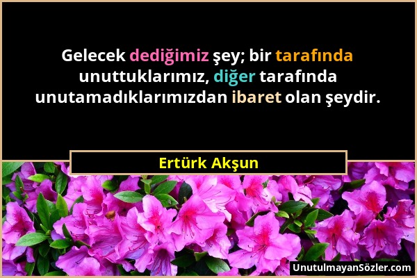 Ertürk Akşun - Gelecek dediğimiz şey; bir tarafında unuttuklarımız, diğer tarafında unutamadıklarımızdan ibaret olan şeydir....