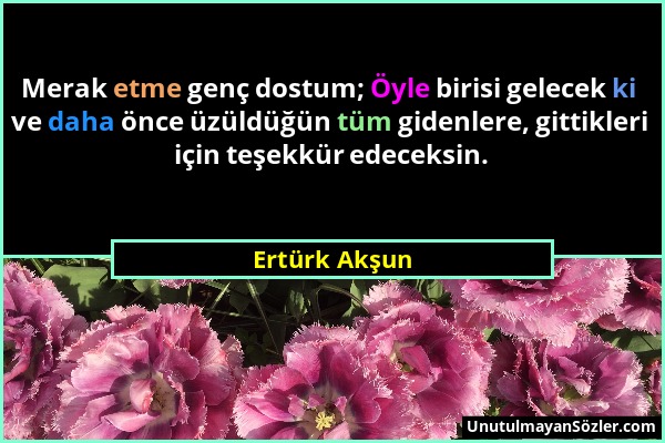 Ertürk Akşun - Merak etme genç dostum; Öyle birisi gelecek ki ve daha önce üzüldüğün tüm gidenlere, gittikleri için teşekkür edeceksin....