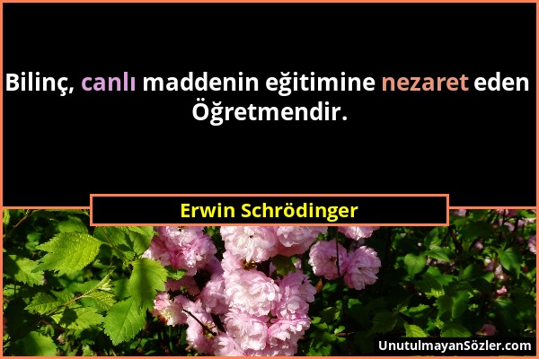 Erwin Schrödinger - Bilinç, canlı maddenin eğitimine nezaret eden Öğretmendir....