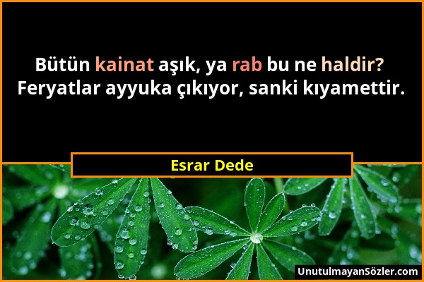 Esrar Dede - Bütün kainat aşık, ya rab bu ne haldir? Feryatlar ayyuka çıkıyor, sanki kıyamettir....