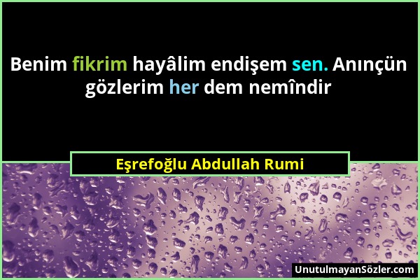Eşrefoğlu Abdullah Rumi - Benim fikrim hayâlim endişem sen. Anınçün gözlerim her dem nemîndir...