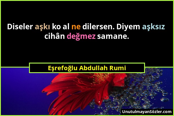 Eşrefoğlu Abdullah Rumi - Diseler aşkı ko al ne dilersen. Diyem aşksız cihân değmez samane....