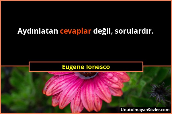 Eugene Ionesco - Aydınlatan cevaplar değil, sorulardır....