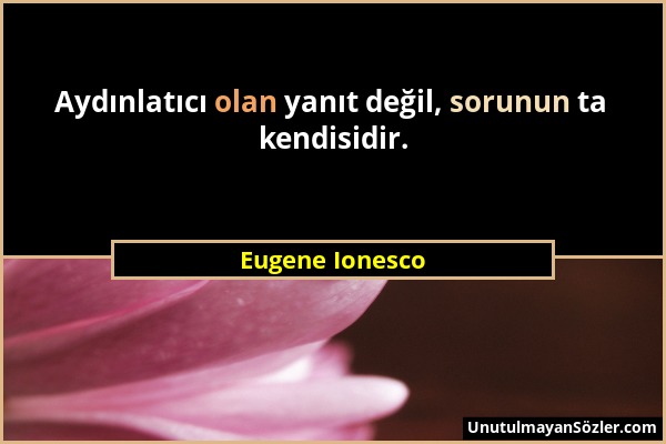Eugene Ionesco - Aydınlatıcı olan yanıt değil, sorunun ta kendisidir....