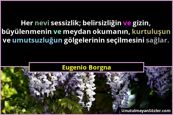 Eugenio Borgna - Her nevi sessizlik; belirsizliğin ve gizin, büyülenmenin ve meydan okumanın, kurtuluşun ve umutsuzluğun gölgelerinin seçilmesini sağl...
