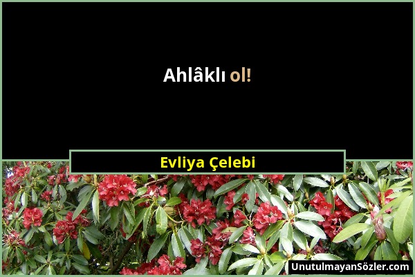 Evliya Çelebi - Ahlâklı ol!...