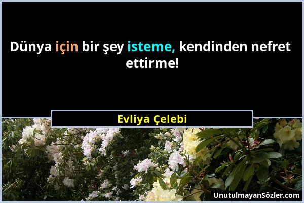 Evliya Çelebi - Dünya için bir şey isteme, kendinden nefret ettirme!...