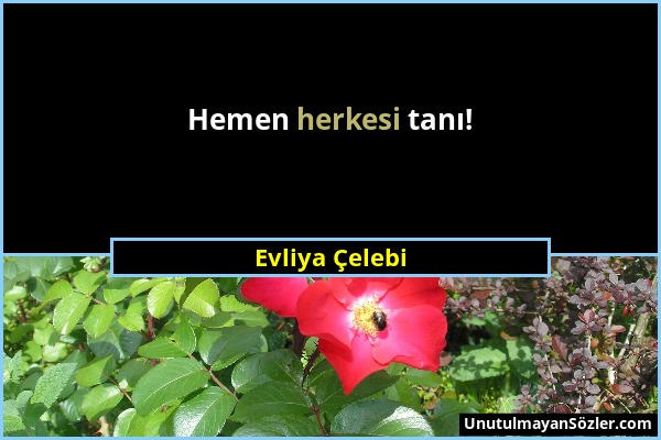 Evliya Çelebi - Hemen herkesi tanı!...