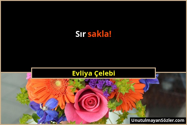 Evliya Çelebi - Sır sakla!...