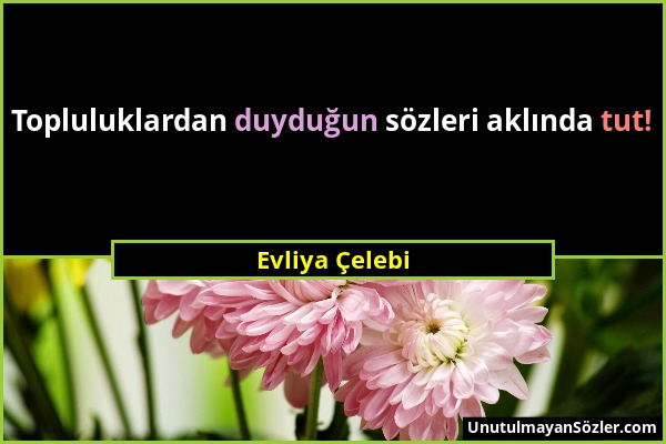 Evliya Çelebi - Topluluklardan duyduğun sözleri aklında tut!...