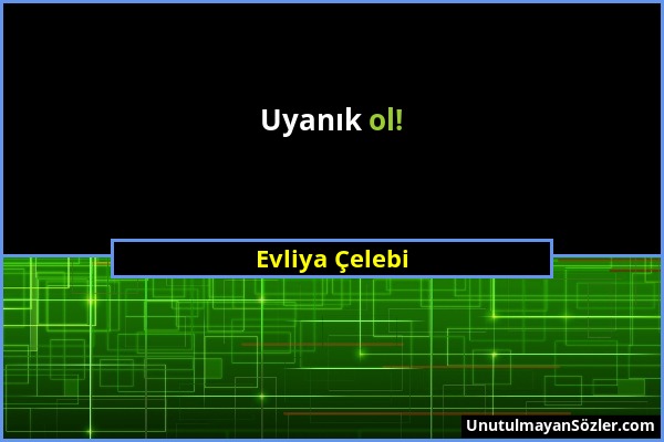 Evliya Çelebi - Uyanık ol!...