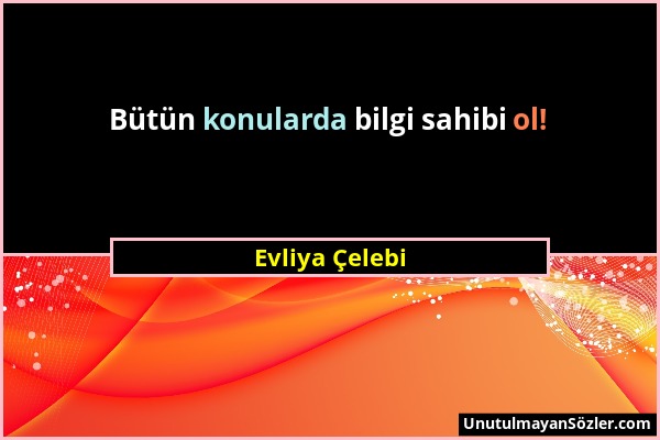 Evliya Çelebi - Bütün konularda bilgi sahibi ol!...