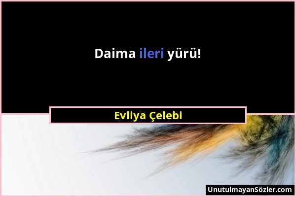 Evliya Çelebi - Daima ileri yürü!...